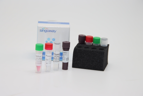 Jogo fluorescente quantitativo do PCR do teste do jogo ISO9001 do teste do cotonete do PCR de Boca Virus HBoV RT