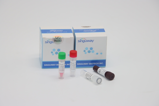 Testes rápidos do vírus de Kit Quantitative Fluorescent For HFMD do teste do PCR do RT
