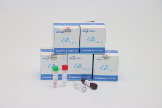Jogo Ultrafast do PCR da TB de Kit Lab Using dos testes do PCR do RT do vírus do Thalassemia
