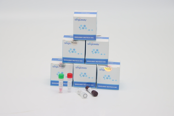 Teste rápido Kit High Accuracy do PCR do RT do vírus dos piloros de ISO9001 Helicobacter