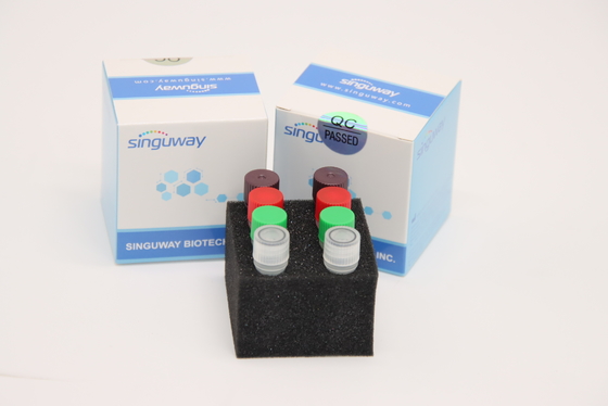 CE fluorescente de Kit Laboratory Use do teste do jogo HSV2 do PCR do tempo real HCV RT