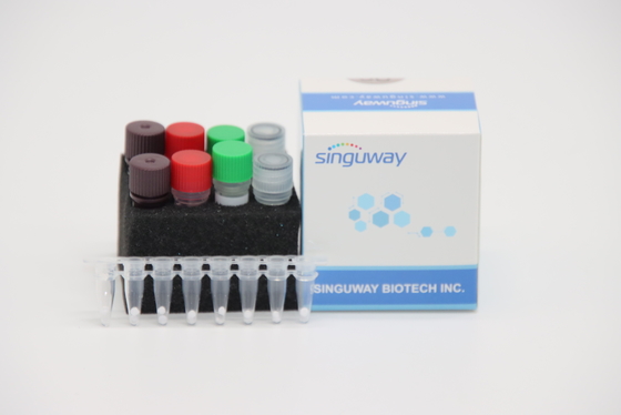 Vírus rápido quantitativo do vírus H7N9 do PCR Kit For Avian Influenza A do IVD RT