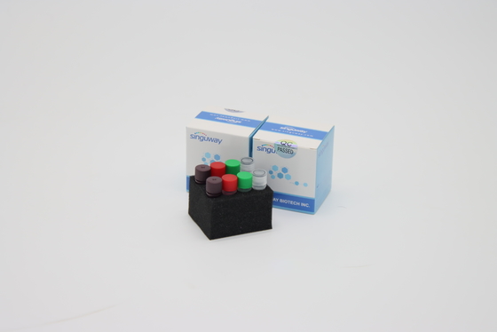 Detecção de teste genética Kit With ISO9001 ISO13485 do PCR do ADN do vírus de raiva