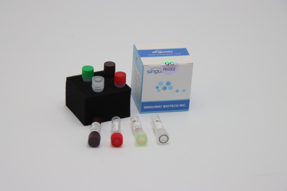 Jogo 48 dos testes do PCR do RT do vírus de gripe das aves jogo nasal do teste do cotonete de 96 testes