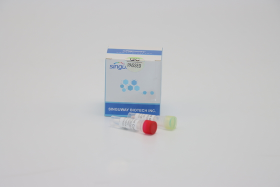 Jogo nucleico do PCR do PCR Kit Nasal Swab Fluorescent RT do RT da dengue do teste ácido