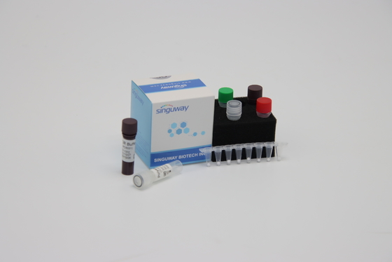 Detecção quantitativa Kit Reagent ISO13485 do PCR do diagnóstico molecular dentro de 30 minutos