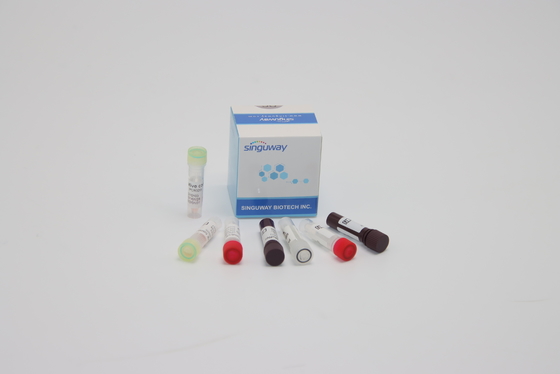 Detecção Kit Nucleic Acid Genetic Testing do PCR de ORF1ab HPV para o diagnóstico clínico