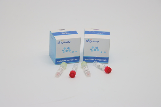 Teste Kit Hepatitis B do cotonete do PCR do CE e diagnóstico clínico dos jogos do teste de C