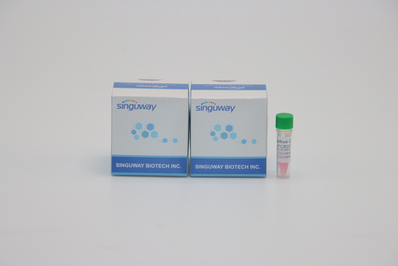 Piloros rápidos HP do PCR Kit Lab Reagent For Helicobacter do RT da etapa da elevada precisão um