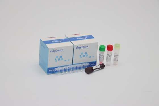 Detecção diagnóstica viral Syncytial respiratória Kit Nasal Swab do PCR do jogo RSV do PCR do RT