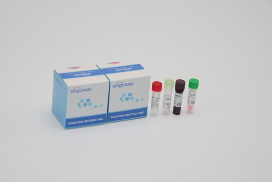 Utilização da etapa QPCR Kit Oral Swab For Lab de Alpha Beta Delta Gamma Mutations One