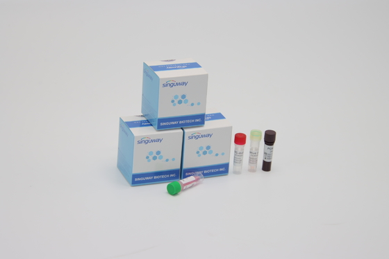 Utilização alta do laboratório de Kit Alpha Beta Delta Gamma Mutations For da detecção do PCR da sensibilidade