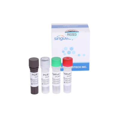 Jogo rápido O nordeste Gene Detection Fluorescence Probe do teste do PCR de Singuway Coronavirus RT