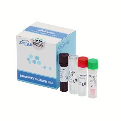 Detecção Kit Fluorescent Probe do PCR do tempo real da elevada precisão Covid-19 50 Copies/Ml