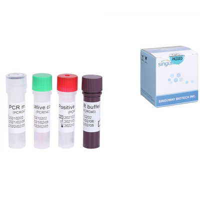Jogo rápido do PCR de Kit Quantitative HCV RT do teste do RNA HCV do vírus da hepatite C