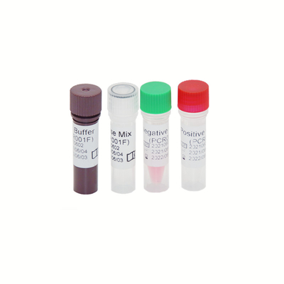 Teste Kit High Sensitivity do PCR do RT do genoma de HBV HCV HIV-1 30 IU/ML