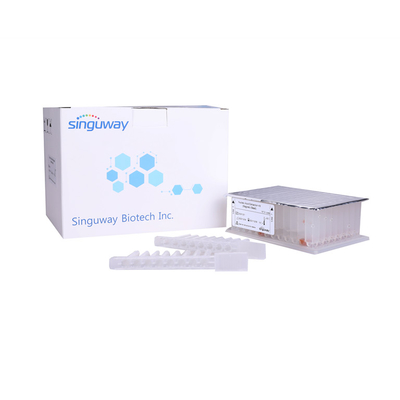 Purificação viral ácida nucleica Kit Singuway do RNA de Kit Magnetic Beads da purificação do ADN
