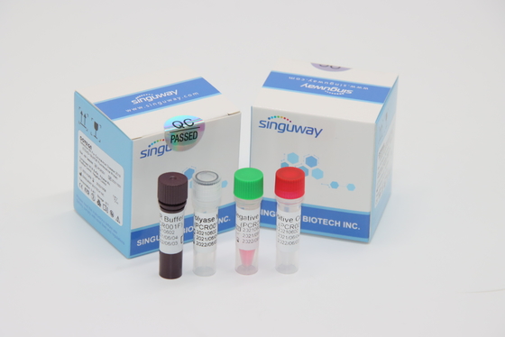 PCR Kit Nasal Swab Within diagnóstico do RT do vírus da tuberculose de Mycobacterium 30 minutos