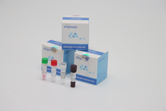 Detecção do vírus VZV do Zoster de Kit High Stability For Varicella do teste do PCR do RT do reagente de laboratório