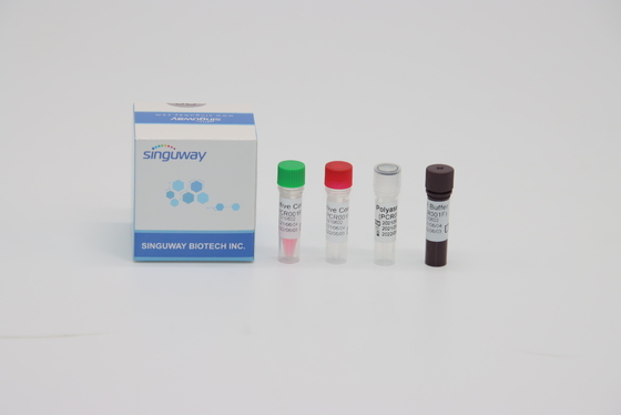 Jogo dos testes ácidos de Kit Fluorescence Probing Rapid Nucleic do teste do PCR do RT do vírus de STB