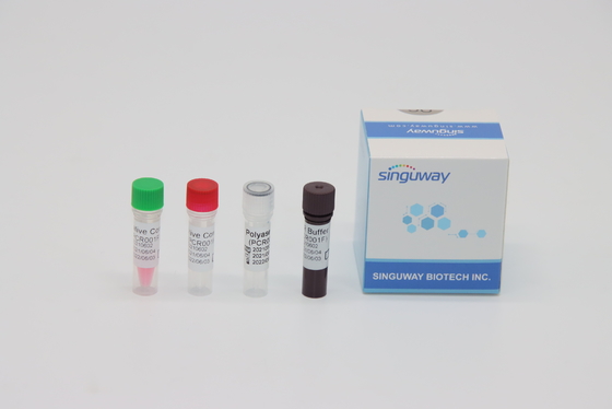 CMV teste Kit Real Time Nucleic Acid do PCR do RT do vírus que testa ISO13485