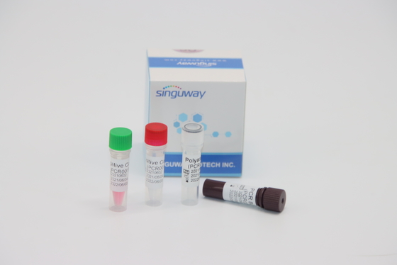 Vírus molecular quantitativo de Kit Real Time For HPV Tox do teste do PCR do RT do diagnóstico
