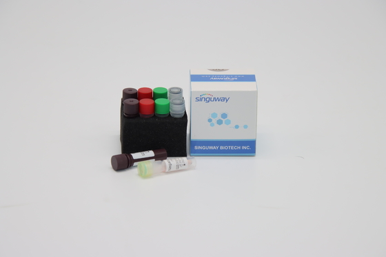 CE um vírus rápido de Kit For Hepatitis B do teste do jogo HSV do PCR do tempo real da etapa