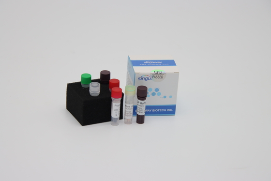 Detecção rápida multiplex de Kit Reagents For Sars Virus da detecção do PCR do RT do tempo real do laboratório