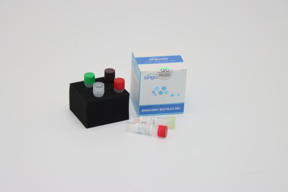 PCR Ultrafast de Kit Reagents Required For da detecção do PCR do ADN do vírus de raiva