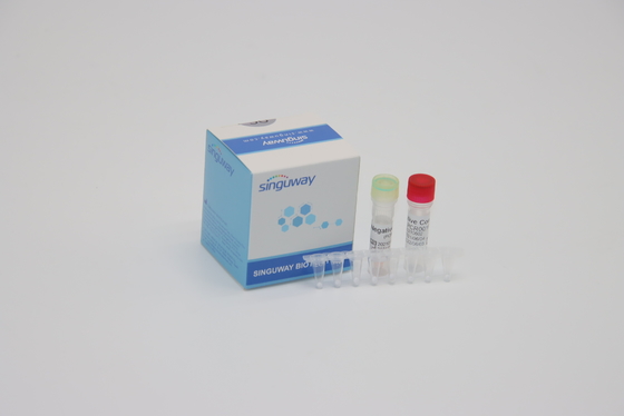 Fluorescência clínica dos reagentes do PCR do tempo real do diagnóstico IVD que sonda um jogo do PCR da etapa