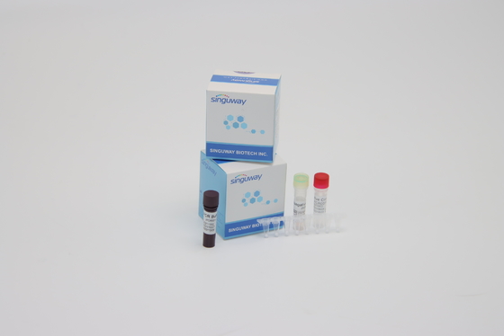 O Super Sensitive multiplexa reagentes do PCR Kit Coronavirus Nucleic Acid Detection do tempo real