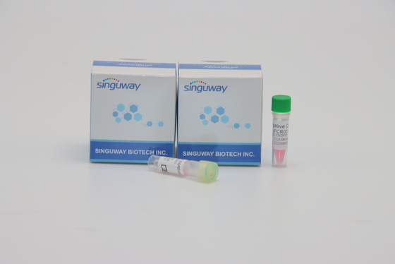Testes de Kit Quantitative Fluorescent For Genetic da detecção do PCR do vírus de Singuway HSV II