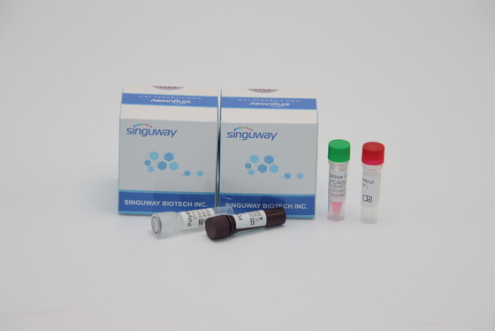 Testes do vírus adenoide dos ADV de Kit Nasal Swab Sample For da detecção do PCR da sondagem da fluorescência