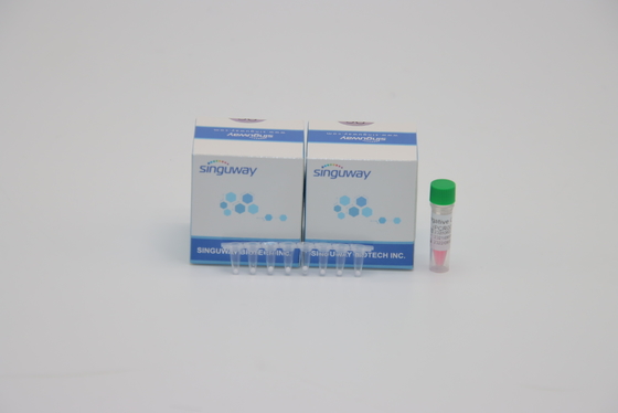 ADN do jogo da detecção do PCR da TB da tuberculose de Mycobacterium do laboratório POCT IVD que testa ISO9001