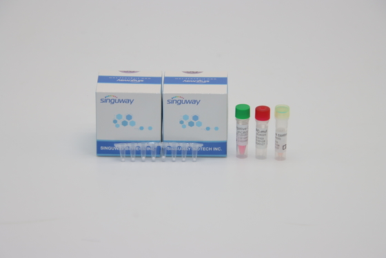 Jogo do teste do PCR dos testes VIH do PCR Kit Highly Sensitive 96 do tempo real da etapa da gripe B um da gripe A