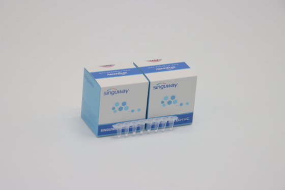Teste rápido alto Kit Lab Reagent ISO13485 da hepatite B do jogo HBV do PCR do tempo real da estabilidade HCV