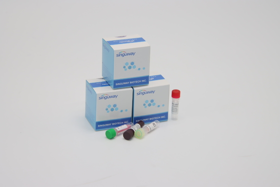Jogos diagnósticos do PCR do tempo real do teste de Coronavirus do CE Ultrafast dentro de 30 minutos