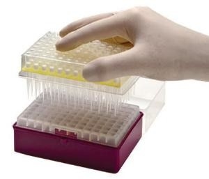 A pipeta consumível do PCR do laboratório derruba as pontas descartáveis 10-1250μL do Micropipette