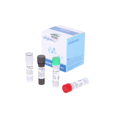 Gripe fluorescente de Kit For Detecting 2019-NCoV do teste do PCR do RT um vírus da gripe B do vírus