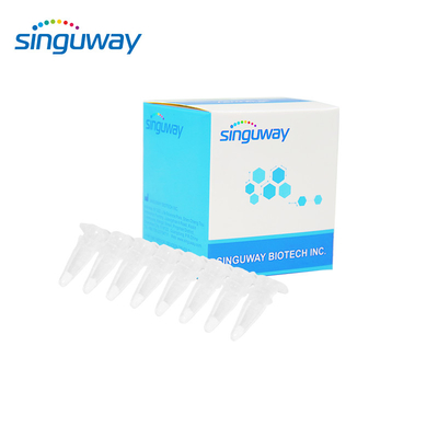 15 tipos PCR qualitativo Kit For Human do jogo 40uL HPV do PCR do tempo real de HPV